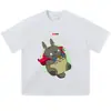 Directo del fabricante: Camiseta de manga corta desgastada, estampado floral inspirado en anime japonés, holgada, hombros caídos, moderna, top de manga corta holgado