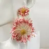 Pendientes de Ratán Tejidos a Mano de Estilo Festivo Europeos y Americanos Combinación de Colores de Verano de Moda Pendientes de Estilo Playa