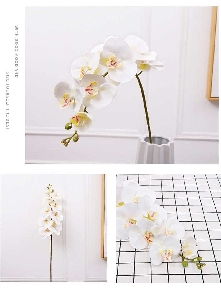 3d6头小兰花_14.jpg