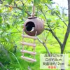 Casa de Pájaro Tejida Creativa para Mascotas Colgante Nido de Pájaro de Hierba Tejida Hecho a Mano Arreglo de Entorno para Jardín de Infancia Adorno Colgante Aéreo Balcón Pastoral