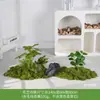 Musgo Sintético Decoración Suave para Interiores Conjunto de Micro Paisaje Combinación Exhibición en Ventana Pasillo Musgo Artificial Plantas Verdes Arreglo de Paisajismo Decoración