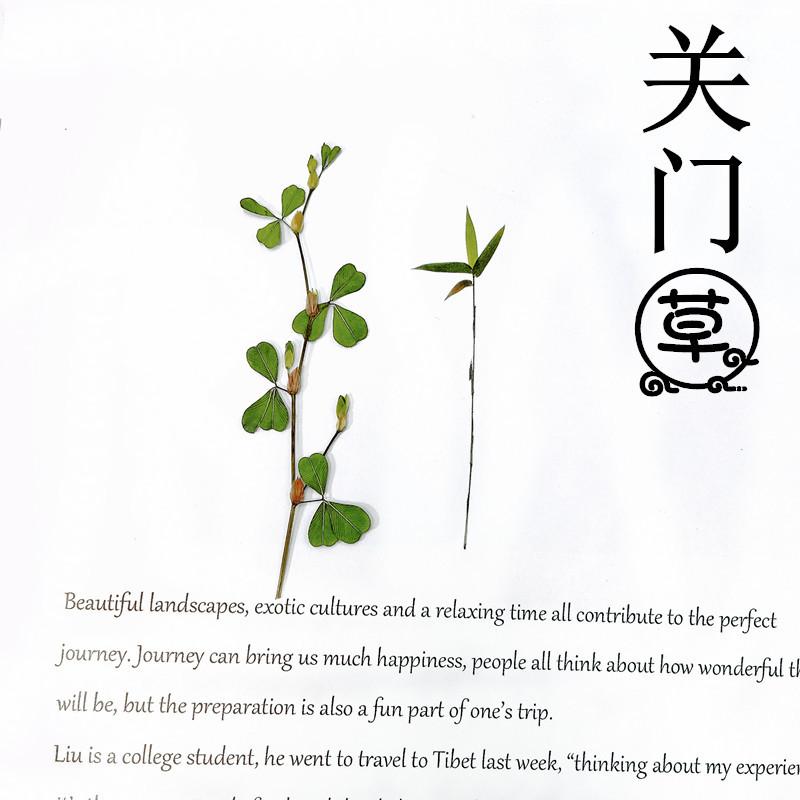 微信图片_20210909135235_副本