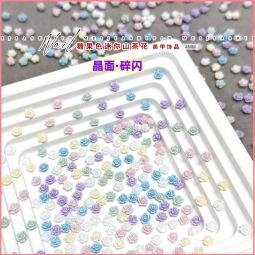 小图·迷你山茶花.jpg