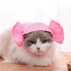 Juguetes para Gatos Juguetes Creativos para Masticar Gatos Menta Juguetes Divertidos para Gatos Suministros para Mascotas Juguetes Resistentes a Mordidas de Gato