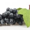 Uvas Simuladas Fruta Escarchada Accesorios Planta Verde Falsa Decoración Modelo de Disparo de Plástico Techo Interior Ratán Uva
