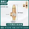 Calentador de Agua Eléctrico Haier Midea Tubería de Agua Válvula de Alivio de Presión Automática Válvula de Seguridad Caldera Tanque de Gas Compresor de Aire Vapor de Escape