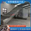 Secador de Azeitonas com Correia de Malha, Equipamento Totalmente Automático para Secagem de Frutas Verdes e Laranjas Amargas, Secador Grande de Azeitonas