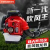Yingqi Ebz8500 Secador de Pelo a Gasolina de Mochila de Alta Potencia Manguera Telescópica para Incendios Forestales Extintor de Viento y Fuego
