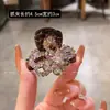 Presilha de cabelo de flor de cristal de alta qualidade estilo coreano, um acessório de cabelo moderno para mulheres, perfeito para penteados semipresos, presilha lateral leve e versátil