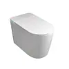 Vaso Sanitário Inteligente, Tamanho Grande, Assento Grande, Aquecimento Instantâneo Integrado, Totalmente Automático, Sem Limite de Pressão de Água, Vaso Sanitário Elétrico Doméstico