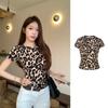 Top Curto Feminino Americano Estilo Leopardo Picante Ombro a Ombro Primavera/Verão, Pura Desejo, Cintura Marcada, Emagrecedor, Manga Longa