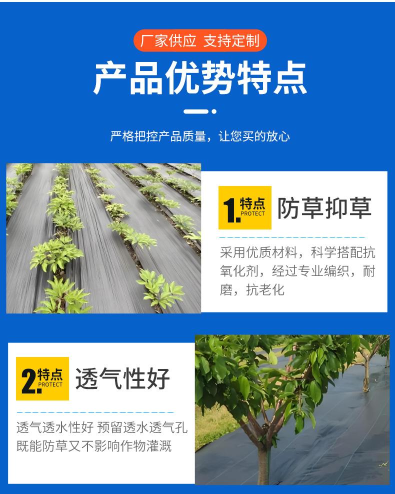 详情_08.jpg