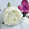 Cabeça de Flor de Peônia Pintura a Óleo com Borda Queimada Altamente Simulada Casamento Decoração de Casamento Cenário de Parede de Flores Cabeça de Flor Artificial Adereços de Fotografia