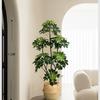 Planta de Simulación Madera Pie de Pato de Pie en Maceta Planta Verde Biónica Adornos Sala de Estar Lado del Sofá Decoración del Hogar Bonsái Árbol Falso