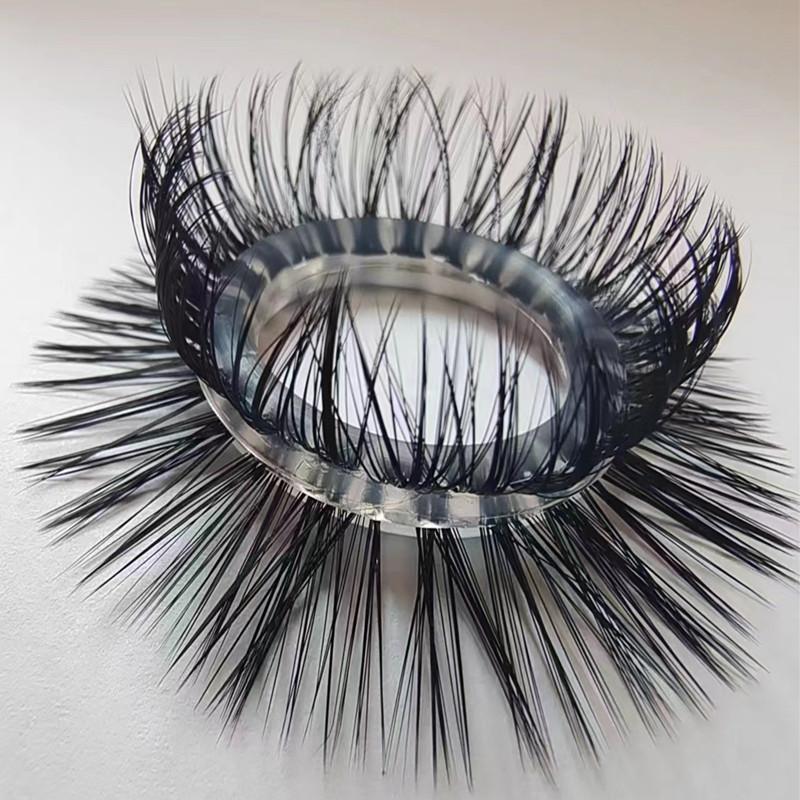 微信图片_20240312140511_副本