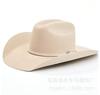 Sombrero vaquero de lana transfronterizo Amazon LAZADA sombrero de caballero sombrero de jazz para hombre sombrero de otoño e invierno más vendido europeo y americano