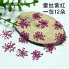 Atacado contas de neve flor renda flor estrela flor rosto maquiagem flor espécime de flor DIY artesanal flor epóxi manicure