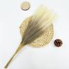 Pasto de las Pampas Spot Transfronterizo 55cm Horquilla Sencilla Amazon Escandinavo Boho Decorativo Cola de Gato Artificial Flor Artificial Caña
