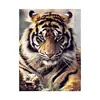 Nuevo 5d pintura de diamantes completo de diamantes diy transfronterizo para figura animal tigre pintura decorativa lienzo pintura pintura de diamantes