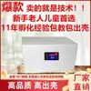 Incubadora de Cama de Agua Pequeña para el Hogar Totalmente Automática Temperatura Constante Incubadora de Pollo Pato Ganso Paloma Loro Tortuga Incubadora de Huevos