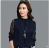 Blusa de Chiffon Inspirada no Design Coreano para Figuras Baixas, Gola Alta Pequena, Versátil Tamanho Plus Size, Top Camisa Base com Borda de Renda em Malha