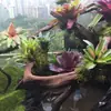 Paquete Combinado de Bromelias Set Grande Mediano Pequeño Madera Flotante de Selva Paisajismo Acuático Micro Paisaje Planta de Aire Otro