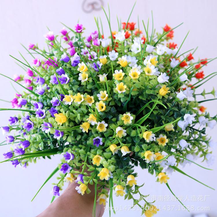 IMG_3985.png
