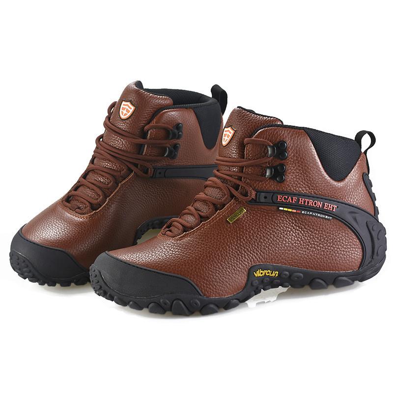 一键复制_20221222110419