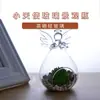 Anjo pequeno criativo moderno paisagem micro garrafa ecológica layout decoração adereços de escritório fornecimento de fábrica
