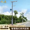 Processamento de Iluminação Pública Inteligente, Monitoramento da Cidade, Carregamento, Transmissão, Postes de Luz Multifuncionais Abrangentes, Construção de Novas Áreas Rurais, Vias Inteligentes