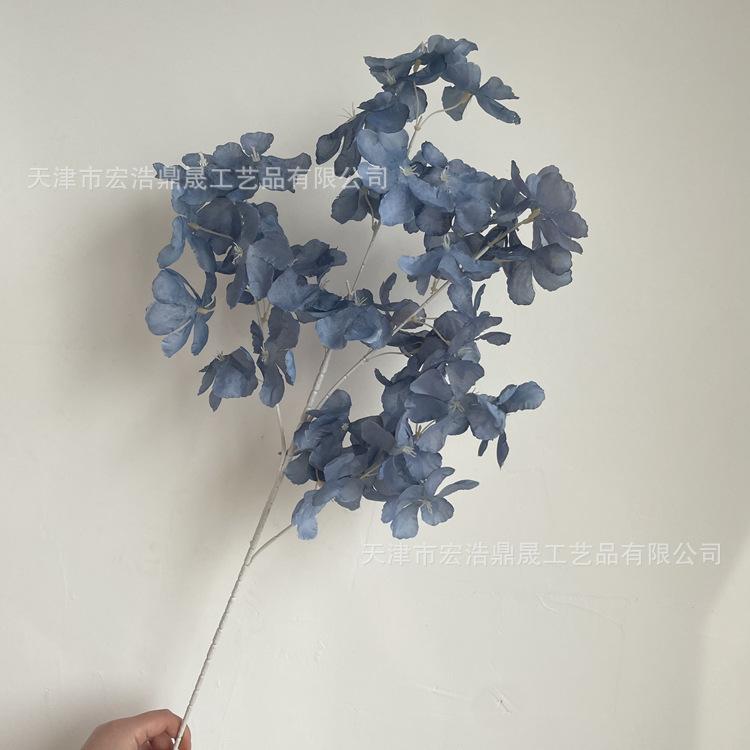 微信图片_202204111605062_副本