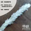Caña Larga Vietnamita Flor Seca de Yunnan Ramo Decoración Esponjoso Fotografía de Boda Del Suelo al Techo Paisajismo Flor Inmortal Natural