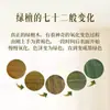 Pulseira Personalizada de Sândalo Verde Madeira Velha Natural Contas de Sândalo para Homens e Mulheres, Joia Redonda para Casal, Acessório Artesanal de Alta Qualidade