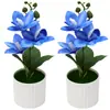 Bestseller transfronterizo de Amazon: Planta artificial de Phalaenopsis en maceta, flores artificiales de magnolia, exhibición de decoración para el hogar