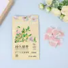 Bolas de cânfora para todas as estações para guarda-roupas, à prova de umidade, à prova de mofo, removedoras de odores, repelentes de insetos, aroma floral, fragrância duradoura, embaladas individualmente