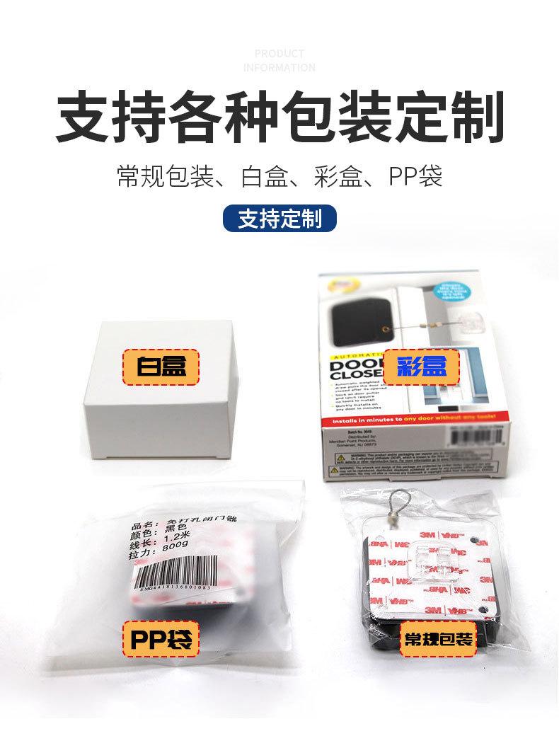 P091闭门器_16.jpg
