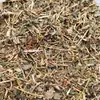Gynostemma Pentaphylla Silvestre de Siete Hojas 500g Es Muy Tierna, Ginseng de Siete Hojas, Vesícula Biliar, Sabor Dulce, Gynostemma Pentaphylla Antigua, Hojas Jóvenes de Gynostemma Pentaphylla de Montaña Profunda