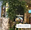 Folhas, galhos, videiras, flores artificiais, trepadeiras, canos, pilares, plantas trepadeiras, plantas verdes, plantas de parede, cobrindo imperfeições, decorações