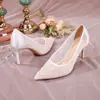 Zapatos de Tacón Alto de Aguja con Punta Puntiaguda de Malla de Encaje Zapatos de Novia para Dama de Honor Zapatos para Vestido de Boda Fábrica Venta al por Mayor Zapatos Cómodos Que No Cansan Tus Pies