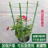 Suporte de flores haste de suporte para trepadeiras Haste de suporte para planta-orquídea Árvore da fortuna haste de suporte retrátil Cacto de Natal Bougainvillea estrutura de escalada fixa ampliada
