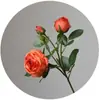 Flor artificial de tela de seda de alta calidad con flor artificial yang decoración del hogar flor falsa boda color primavera cuatro horquillas multi-cabeza rosa Xuan Ya