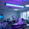 Venta Directa del Fabricante de Origen Lámparas Ultravioleta Uv Lámparas Germicidas de Cuarzo Uv Lámparas de Desinfección Lámparas Uv