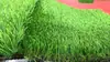 Campo de Fútbol de Césped Artificial para Jardín de Niños Patio de Recreo Escolar Patio Balcón Césped Especial para Campo de Fútbol