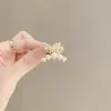 Acessórios de Cabelo em Liga de Zinco Borboleta Pequeno Presilha Pinça Princesa Topo da Cabeça Presilha Traseira Meio Presilha de Cabelo Feminino Lateral Frontal
