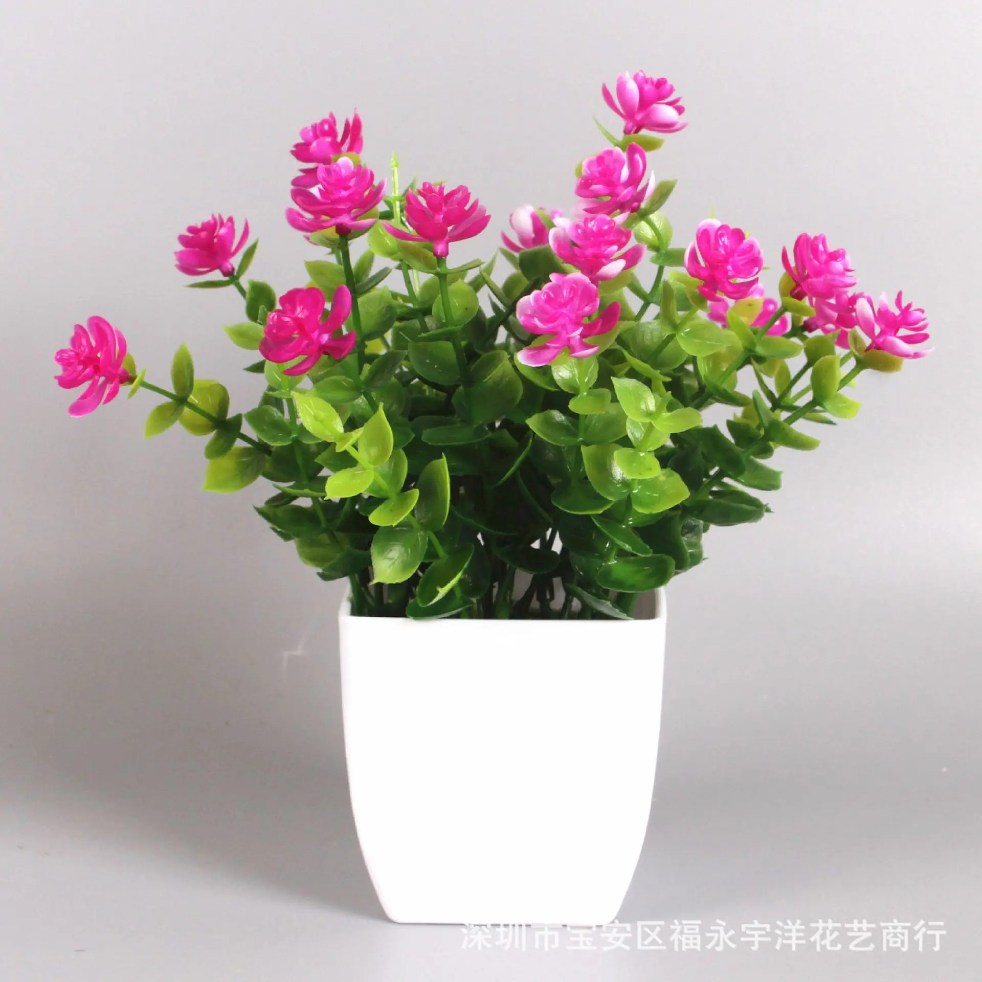 IMG_0856_副本.jpg