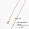 Estilo Europeo y Americano Chapado en Oro de 18K No se Desvanece Estilo Ins Moda Cadena para Clavícula de Mujer Cadena Lisa Cadena de Acero Inoxidable con Hoja DIY