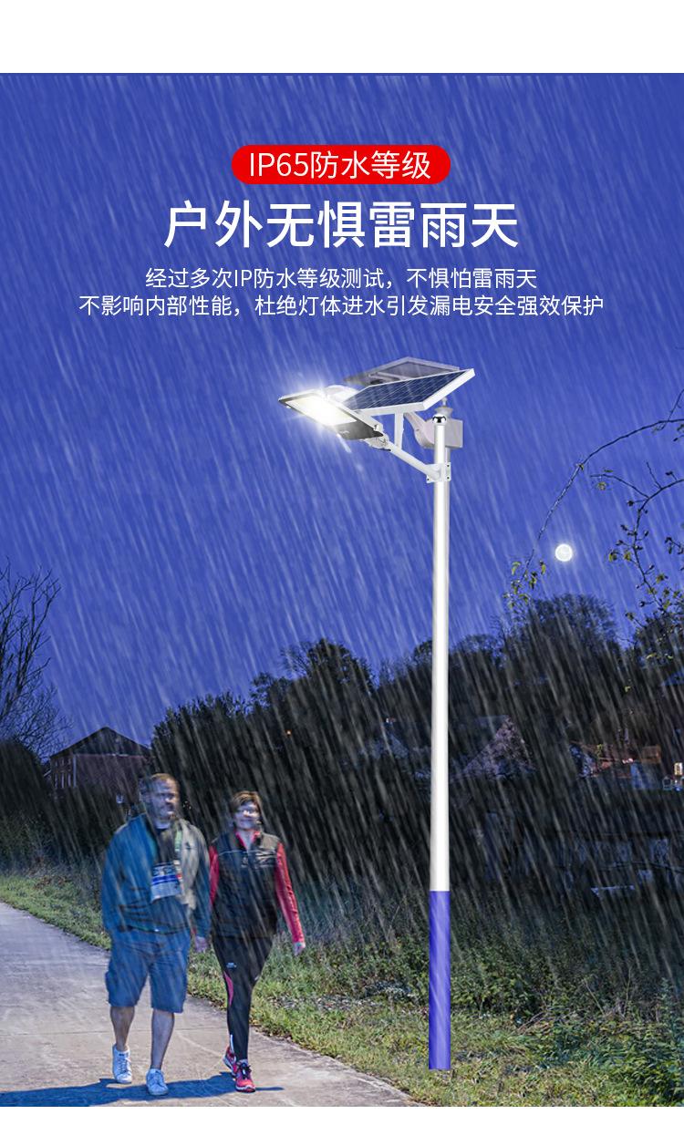 2纳米金豆_08.jpg