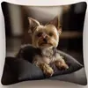 Fundas de Almohada de Gato Más Vendidas en Temu, Fundas de Almohada de Animales Lindas y Divertidas, Fundas de Cojín Decorativas para Dormitorio Hogar Sofá Venta al por Mayor