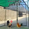 Gaiola de Galinha, Gaiola Externa para Patos, Galinheiro Grande, Gaiola de Criação de Pombos à Prova de Chuva Extra Grande para Exterior, Galinheiro, Metal Doméstico