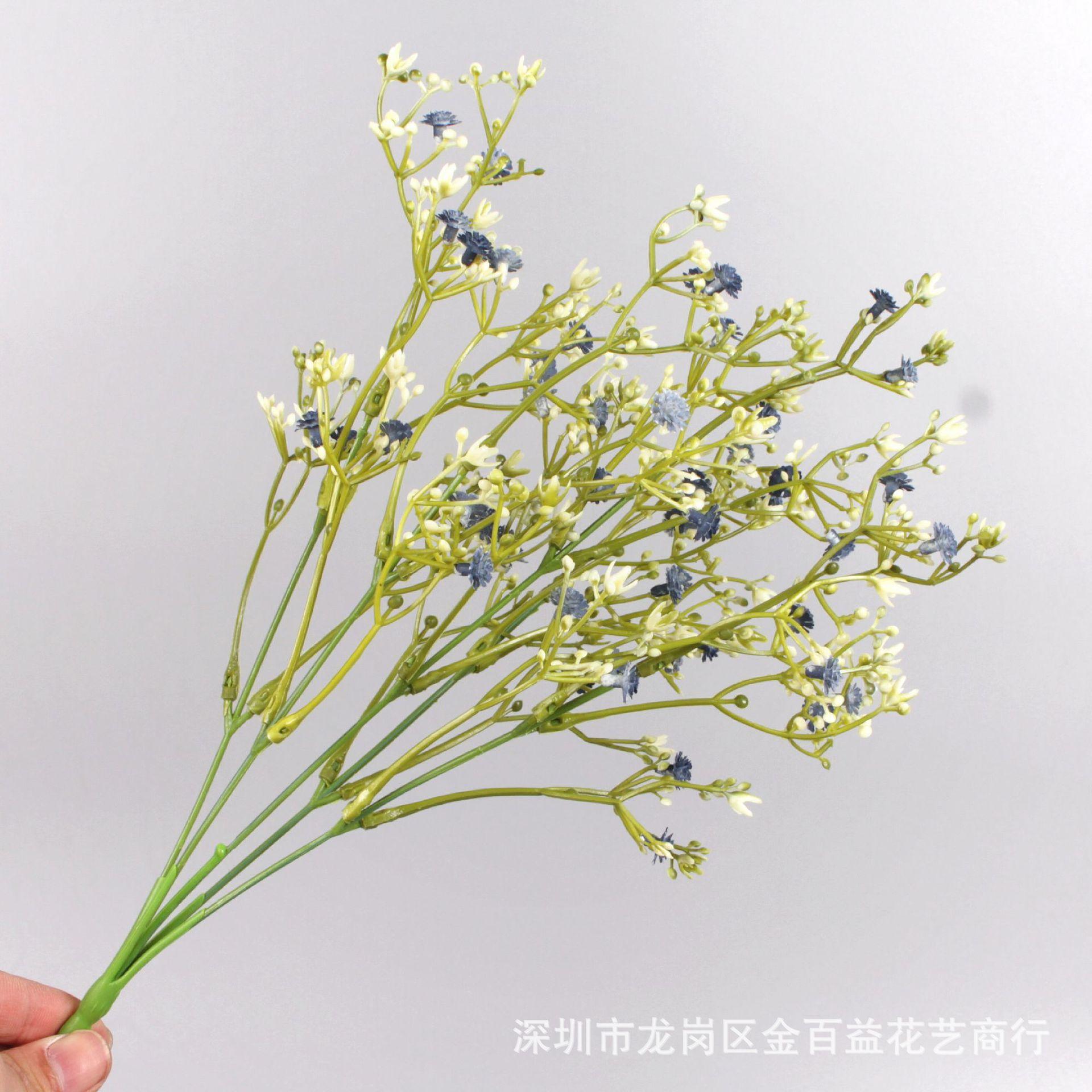 IMG_0355_副本.jpg